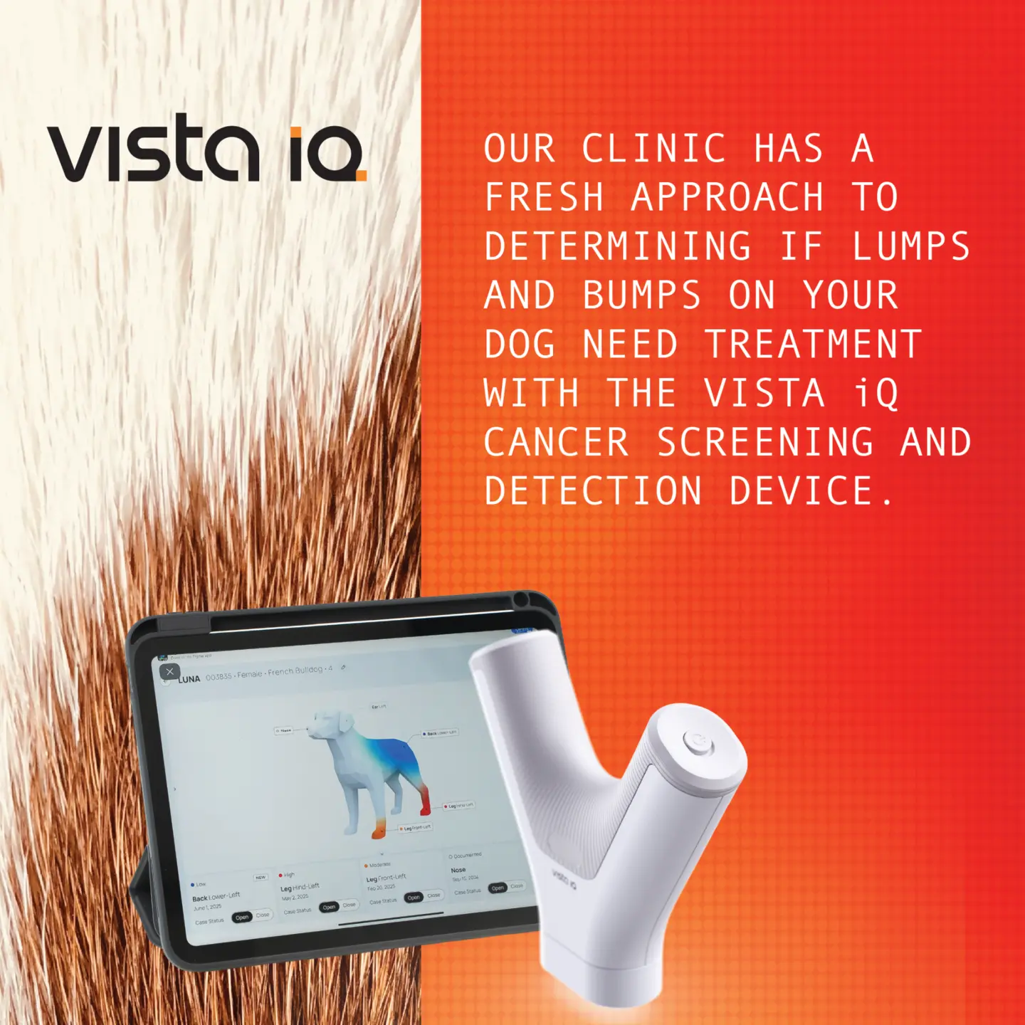 VISTA iQ: Our clinic has a fresh approach to determining if lumps and bumps on your dog need treatment with the VISTA iQ cancer screening and detection device.